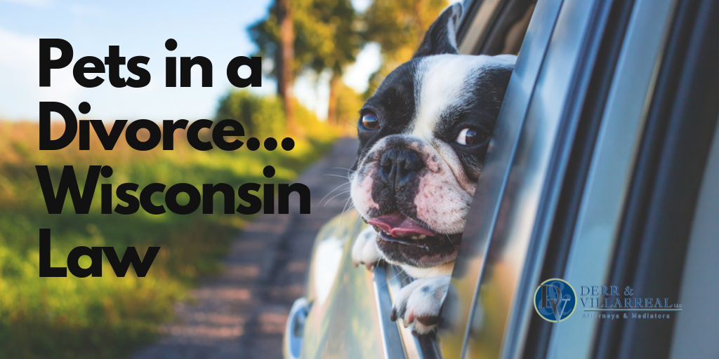 Pets in a Divorce: Wisconsin Law